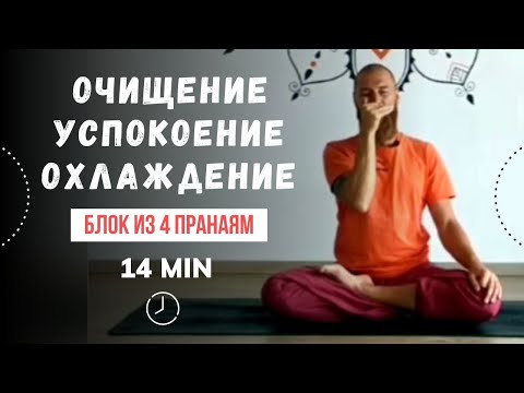 Видео: 14 МИН | Пранаяма для снятия стресса | Дыхательный комплекс из 4 пранаям