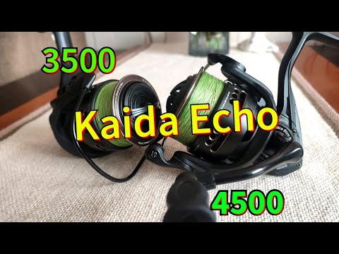 Видео: Kaida Echo. Хронические болезни.