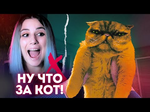 Видео: Что это за кот {2} | Нет, я не Человек | No, I'm not a Human | Озвучка и прохождение