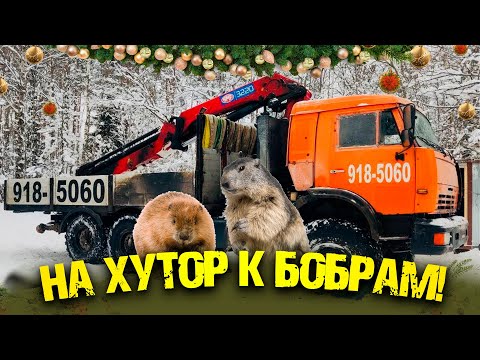 Видео: На хутор к бобрам! | Coming to the Farm in the Realm of Beavers