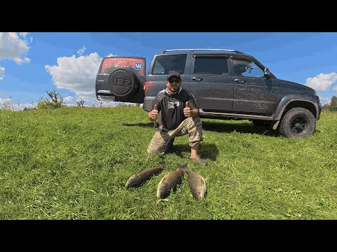 Видео: ДИКАРЬ! Амур и Карп на Пруду!!!