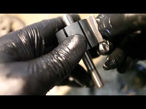 Видео: Спасаю пуму от голода