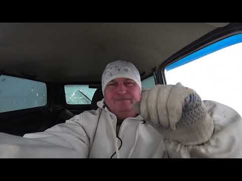 Видео: На опыте