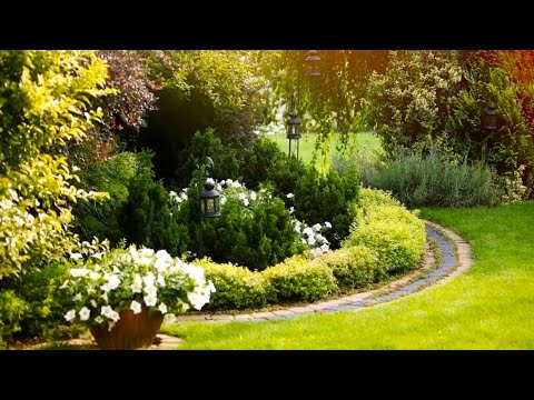 Видео: Оригинальные идеи для оформления загородного сада / Ideas for decorating a country garden