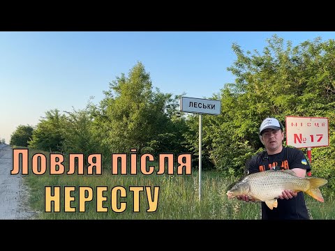 Видео: ЛОВЛЯ КОРОПА ПІСЛЯ НЕРЕСТУ. БЮДЖЕТНА ПРИКОРМКА ДЛЯ КОРОПА. Морозівський лиман село Леськи
