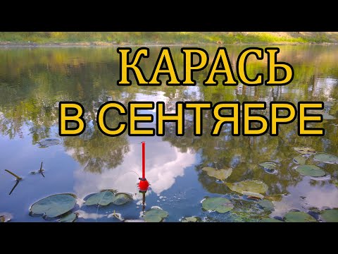 Видео: Ловля карася. Рыбалка на поплавок.