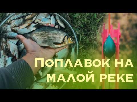 Видео: Пульметная рыбалка на поплавок на малой реке.
