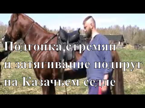 Видео: Затягивание подпруг Пригонка стремян Длина путлищ и арчаковой связки на Казачьем и Черкесском седле