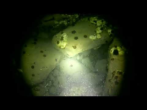 Видео: Ночная подводная охота в Приморском крае.