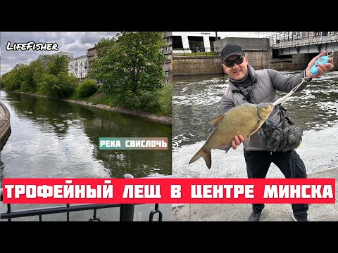 Видео: LifeFisher в Республике Беларусь. Огромный лещ в центре Минска! Река Свислочь.
