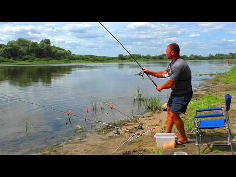 Видео: Ловля леща на донки в августе! Рыбалка на ОКЕ!