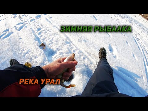 Видео: Зимняя рыбалка на реке Урал.