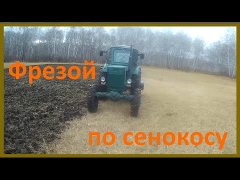 Видео: Обработка сенокоса почвофрезой. Рыхление и выравнивание.