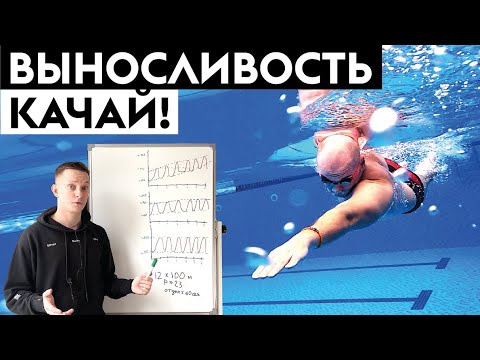 Видео: Как правильно тренироваться? Тренировка выносливости в плавании кролем