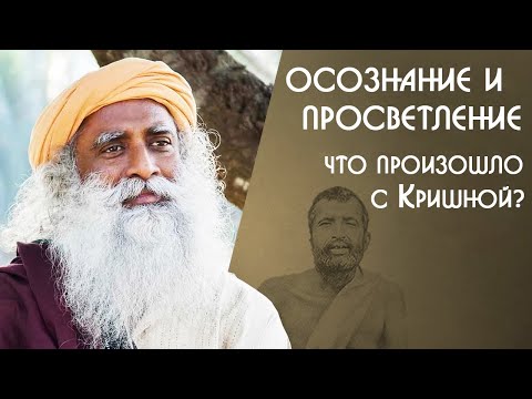 Видео: Что осознание сделало с просветленным Кришной? Садхгуру на Русском