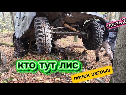 Видео: Рукав судьбы завалы болота УАЗ Нивы и вездеход 