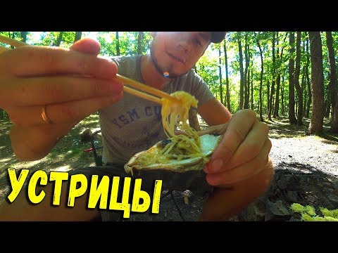 Видео: СОБИРАЕМ ОГРОМНЫЕ УСТРИЦЫ и МИДИИ. ЗАПЕКАЕМ УСТРИЦЫ НА КОСТРЕ