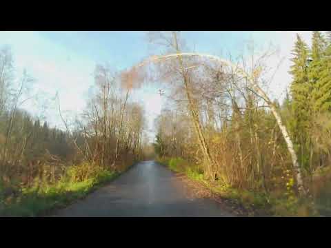 Видео:  В поисках усадьбы Болдино или осень золотая