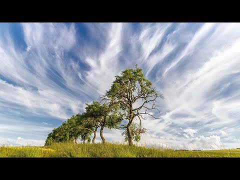Видео: Я - Есть? Узнавание себя