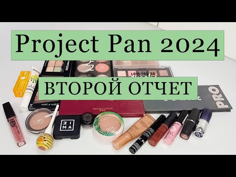 Видео: Project Pan 2024/ ВТОРОЙ ОТЧЕТ