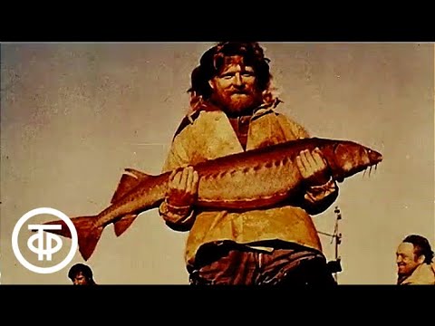 Видео: Знакомимся с Советским Союзом. Телекурс русского языка. Урок 16. По РСФСР. Три встречи (1986)