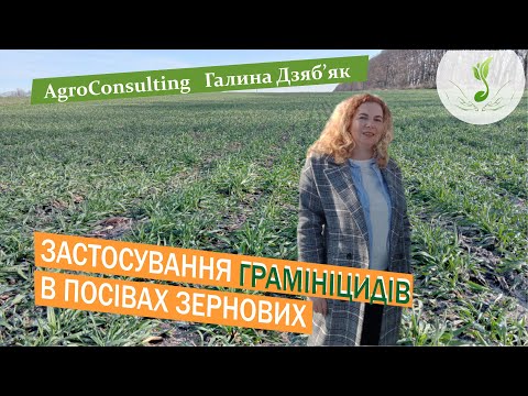 Видео: Які злакові бур'яни і коли шукати в посівах зернових? Якісне застосування грамініцидів