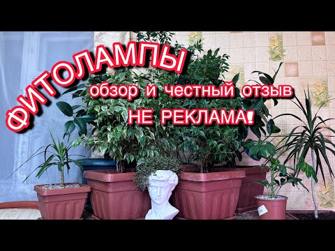 Видео: ФИТОЛАМПЫ - результаты тестирования.