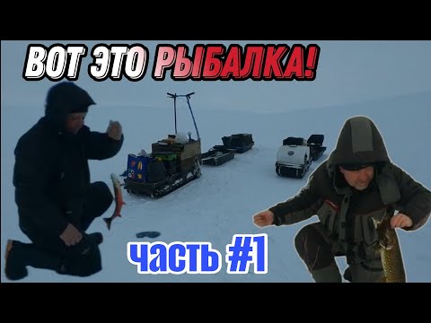 Видео: ЛУЧШАЯ РЫБАЛКА сезона. СТОЛЬКО Гольца и Кумжи я еще НЕ ЛОВИЛ. Часть 1.