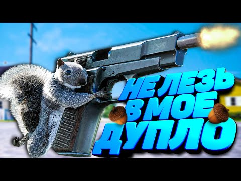 Видео: НЕ ЛЕЗЬ В МОЕ ДУПЛО 🌰 СИМУЛЯТОР БЕЛКИ С ОРУЖИЕМ Squirrel With A Gun