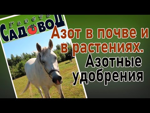 Видео: АЗОТ ПОЧВЕ И В РАСТЕНИЯХ. АЗОТНЫЕ УДОБРЕНИЯ