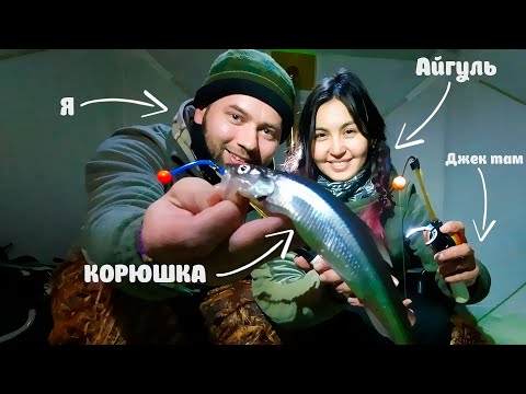 Видео: С ЖЕНОЙ на рыбалку НА КОРЮШКУ. Магия одной лунки.