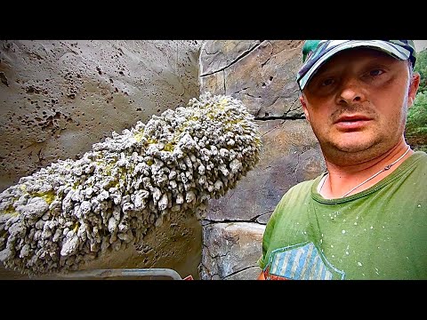 Видео: Как сделать фактуру камня на стене быстро и просто