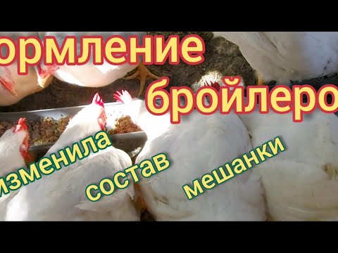 Видео: Кормление бройлеров в домашних условиях. Из мешанки убрала дрожжи, расскажу почему.