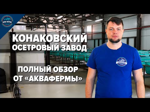 Видео: Конаковский осетровый завод. Полный обзор от «АкваФермы».