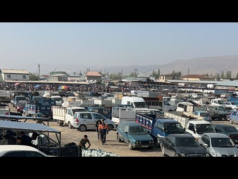 Видео: Реалдуу баалар🔥 сатарман көп🔴 мал көп түштү⚠️ Манас мал базар