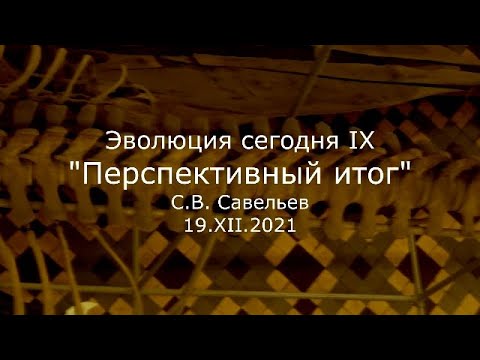 Видео: С.В. Савельев - Перспективный итог