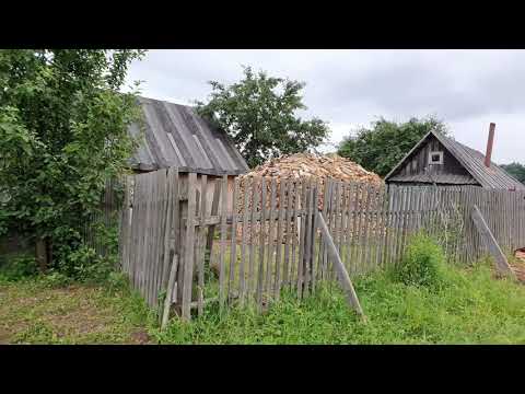 Видео: Селеево. 2019 г.