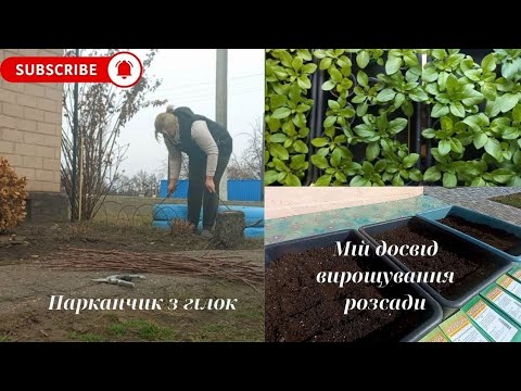 Видео: VLOG: Роблю парканчик з підручних матеріалів // Мій досвід вирощування розсади🌱