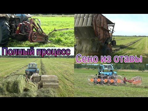 Видео: Заготовка сена из отавы.Полный процесс в одном видео.Сенокос 2020