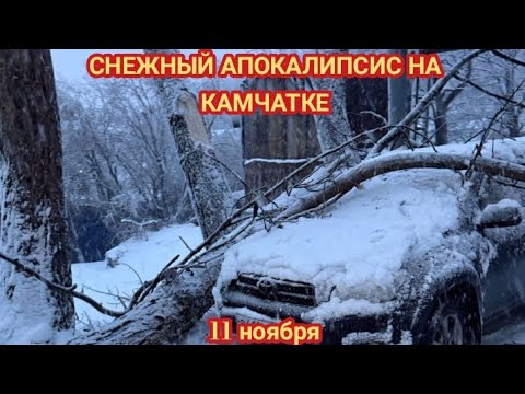 Видео: СНЕЖНАЯ ЖЕСТЬ НА КАМЧАТКЕ 11 НОЯБРЯ