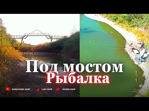 Видео: Высыхающее озеро. Остаток Большой реки текущей с МАРЬЕВКИ. Спасаем рыбу. 28 сент 25г. Запорожье