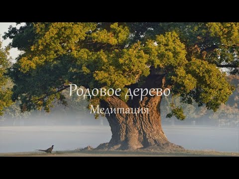Видео: Медитация «Древо рода»