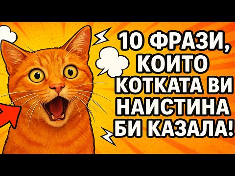 Видео: Котката ви проговори! 10 фрази, които със сигурност ще чуете 😳