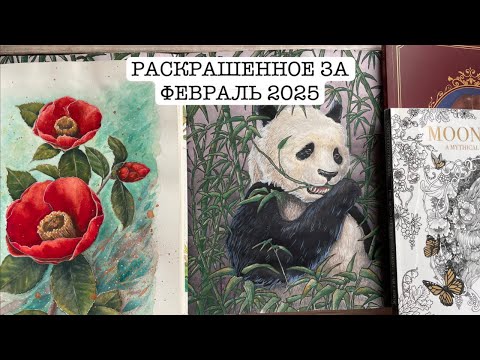 Видео: РАСКРАШЕННОЕ ЗА ФЕВРАЛЬ 2025