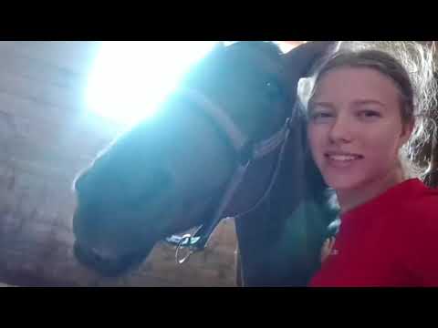 Видео: Дружба лошади и человека❤️