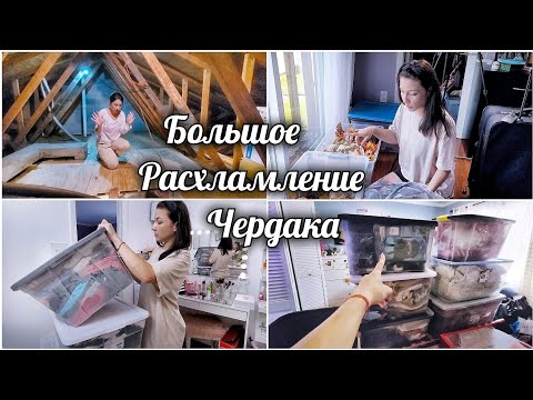 Видео: Расхламление всего дома / Мотивация на уборку / Организация и Хранение / Избавляюсь от хлама