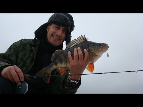 Видео: Риболов на зимна балда