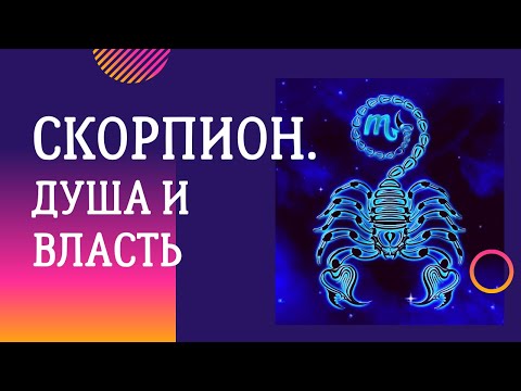 Видео: Кто такие Скорпионы? Неужели это самые вредные люди на Земле?
