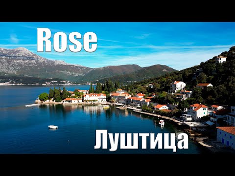 Видео: Rose, Луштица, ноябрь 2023