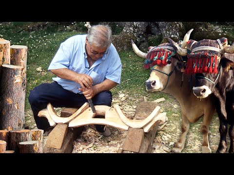 Видео: ХОМУТ ручной работы с ДЕРЕВЯННЫМ БАДУНОМ. Вырезание этого сельскохозяйственного предмета экспертом